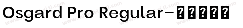 Osgard Pro Regular字体转换